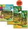 CAMBRIDGE PRIMARY PATH 2 SUPER PACK 2 (SB + W...