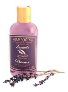 ATTIRANCE, LAVENDER SHAMPOO 250ML ATTIRANCE, LAVENDER SHAMPOO 250ML