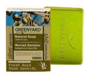 NATURAL SOAP FRESH AURA,    , BY GREENYARD (100 ML)