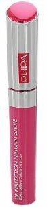 LIP GLOSS PUPA LIP PERFECTION NATURAL SHINE REFLEX CYCLAMEN (04) LIP GLOSS PUPA LIP PERFECTION NATURAL SHINE REFLEX CYCLAMEN (04)