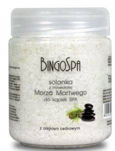  BINGOSPA          550GR