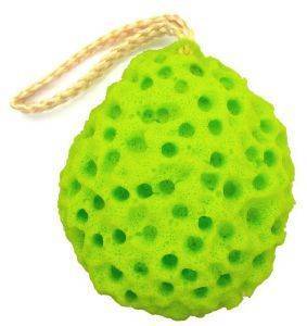 ΣΦΟΥΓΓΑΡΙ W7 ZEN SPA SPONGE ΛΑΧΑΝΙ ΣΦΟΥΓΓΑΡΙ W7 ZEN SPA SPONGE ΛΑΧΑΝΙ