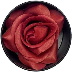 AB COSMETICS ΡΟΥΖ ABSOLUT BEAUTY 3D ROSE BLUSHER ORANGE