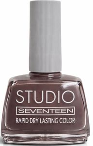 ������� ������ SEVENTEEN  STUDIO RAPID DRY LASTING COLOR ���� (12ML)