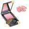  ESTEE LAUDER, TENDER BLUSH NO 214 ROSE N...