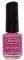    IBD BEAUTY 45512 GERBER DAISY...