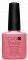 40522 ������ ������� ������ CND SHELLAC GOTCH...