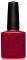 40508    CND SHELLAC WILDF...