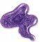   CND  CREATIVE PLAY 13.6ML MISS PURPLELARITY 455  