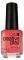 ������� ������ CND CREATIVE PLAY JAMMIN SALMO...