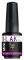 -   PEGGY SAGE I-LAK MINI GRAPHIC VIOLINE  9ML