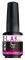 -   PEGGY SAGE I-LAK MINI FUCHSIA EUPHORIA  9ML