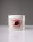   GENA HEALTHY HOOF (113G)
