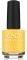   CND  CREATIVE PLAY  VIVID DAIS...
