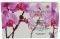 ��� ����� PRIMO BAGNO WILD ORCHID 4���