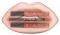 ��� ����� W7 PRETTY POUT LIP KIT SET - YOUR N...