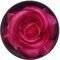 ���� ABSOLUT BEAUTY 3D ROSE BLUSHER PINK