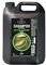 �������� EVIALIA ������������ �� ��������� A ...