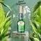 EAU DE TOILETTE BRUT ORIGINAL (100ML)