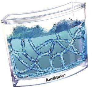 ���������������� ANT WORKS