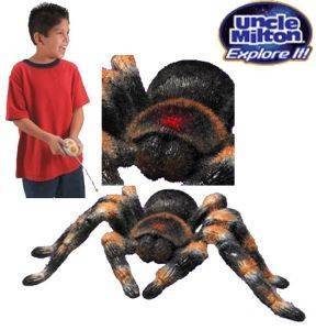   RC TARANTULA