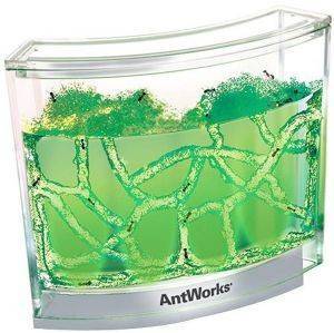 ANTWORKS ILLUMINATED GREEN