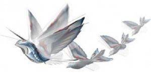 SILVERIT I-BIRD SILVERIT I-BIRD