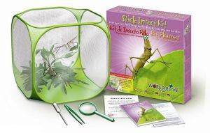 BRAINSTORM WORLD ALIVE STICK INSECT KIT