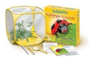 BRAINSTORM WORLD ALIVE LADYBIRD KIT