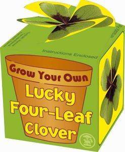 GROW YOUR OWN FOUR LEAF CLOVER GROW YOUR OWN FOUR LEAF CLOVER