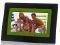 SAPPHIRE DPF-080 DIGITAL PHOTO FRAME