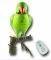 RECORDABLE PARROT WIRELESS DOORBELL