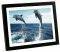 POLAROID XSU-01220B 12'' PHOTO FRAME