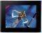LG F1040N-PN 10'' PHOTO FRAME