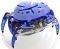 HEXBUG CRAB