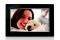 PHILIPS 10FF3CDW 10\'\' LCD PHOTO FRAME