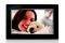 PHILIPS 10FF3CDW 10'' LCD PHOTO FRAME