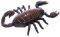 E B BRANDS DEADLY 60 WALL CRAWLERS SCORPION