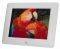 BRAUN DIGIFRAME 7040 7'' PHOTO FRAME WHITE