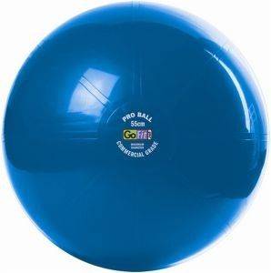 ΜΠΑΛΑ GO-FIT PROFESSIONAL STABILITY ΜΠΛΕ (55 CM) ΜΠΑΛΑ GO-FIT PROFESSIONAL STABILITY ΜΠΛΕ (55 CM)