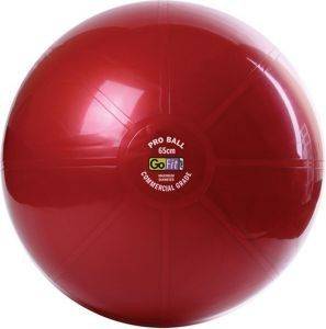 GO-FIT PROFESSIONAL STABILITY BALLS 65CM KOKKINO