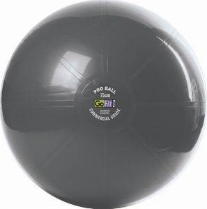 GO-FIT PROFESSIONAL STABILITY BALLS 75CM ΓΚΡΙ GO-FIT PROFESSIONAL STABILITY BALLS 75CM ΓΚΡΙ