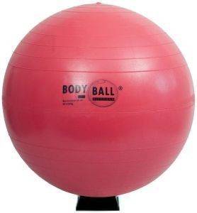  BODY CONCEPT BODY BALL  (65 CM)