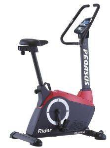  PEGASUS RIDER BC95300