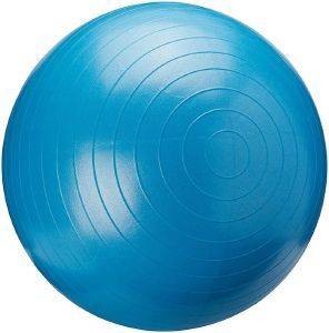   POWER FORCE GYM BALL ANTI-BURST  (65 CM)