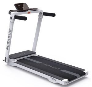 ΔΙΑΔΡΟΜΟΣ PEGASUS T60 ΔΙΑΔΡΟΜΟΣ PEGASUS T60