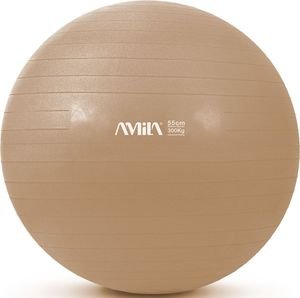   AMILA GYMBALL 95827  (55 CM)