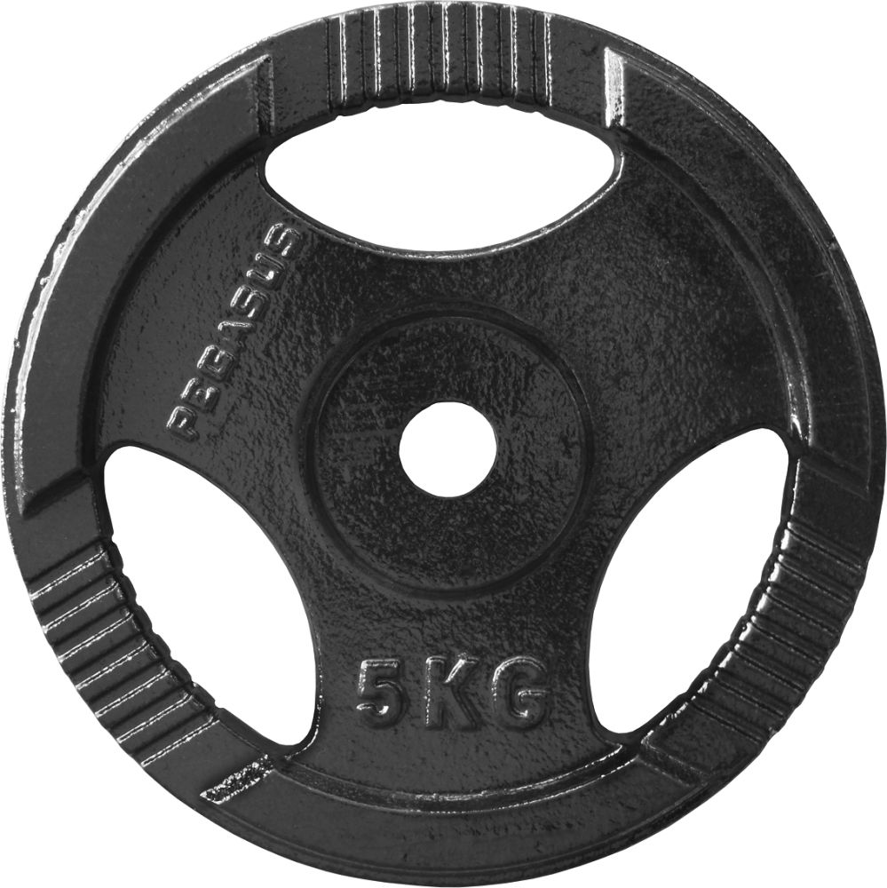 PEGASUS ΔΙΣΚΟΣ ΣΦΥΡΗΛΑΤΟΣ PEGASUS B-0106 ΜΑΥΡΟΣ (5 KG)