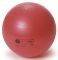   SISSEL SECUREMAX EXERCISE B...