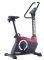  PEGASUS RIDER BC95300